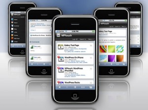 wptouch1-300x224